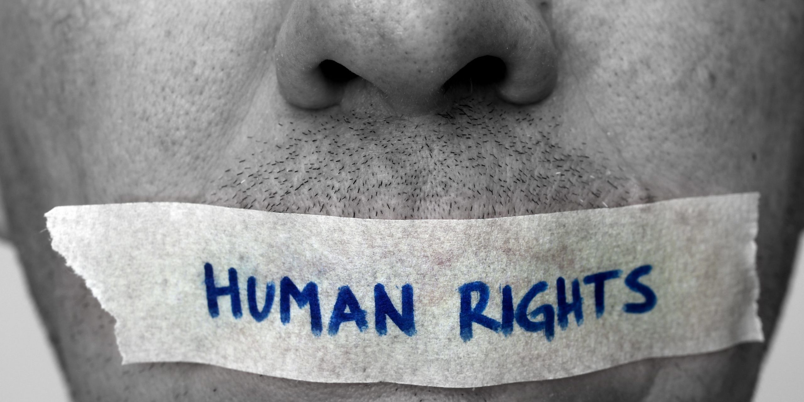 Die Allgemeine Erklärung der Menschenrechte