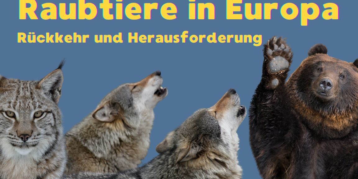 Raubtiere in Europa Wie leben mit den Raubtieren?