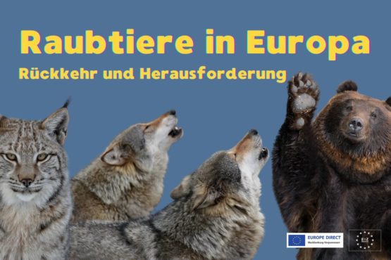 Wie leben mit den Raubtieren?