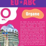 O wie Organe