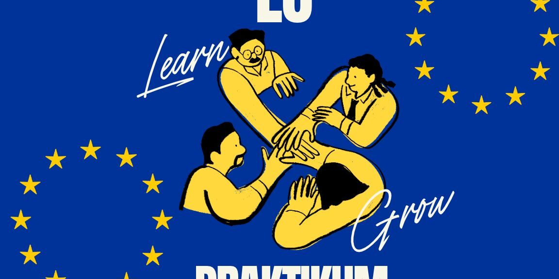 Praktikum bei der E_EIZ Rostock Wo kann man bei den EU Institutionen arbeiten?