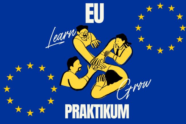 Praktikum bei der E_EIZ Rostock Wo kann man bei den EU Institutionen arbeiten?
