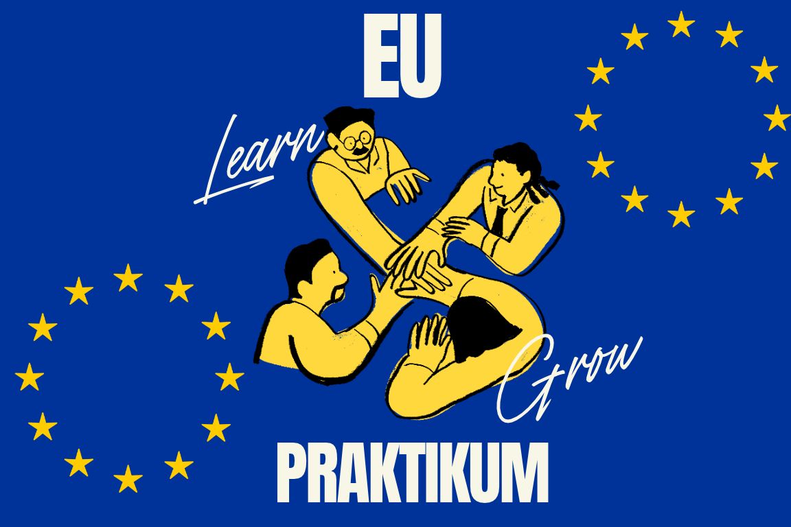 Wo kann man bei den EU Institutionen arbeiten?